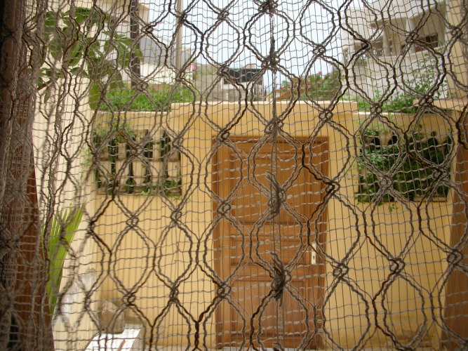 dscn0759
